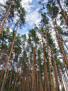 Роблокс август 