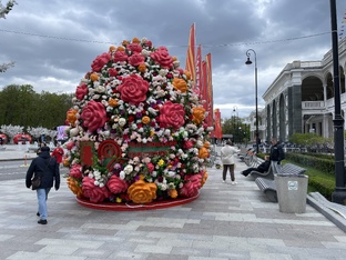 АНОНСЫ 