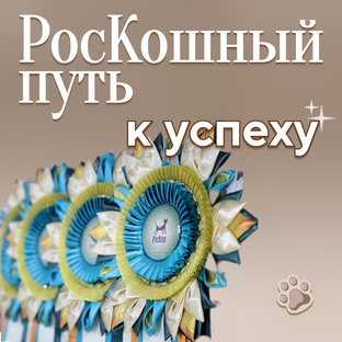 РосКошный путь к успеху