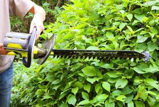 Уход за садом