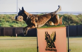 WinnerHund SANTO VON GRAND♂ 