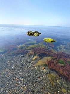 Красота и человек 