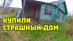 Видео 2017-2018 года