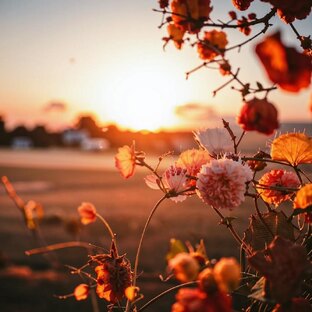 Музыка релакс 