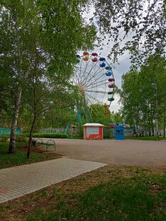 Мир вокруг меня 