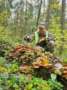 Тихая охота