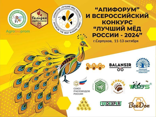 АпиФорум 2024