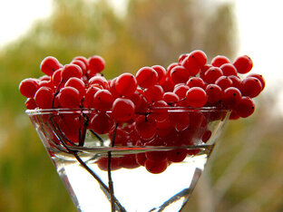 Обо всем по чуть-чуть