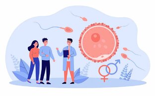 Мужской фактор и бесплодие 