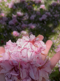 Красота ☀️