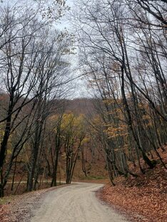 МАРКОТХСКИЙ🏞ХРЕБЕТ