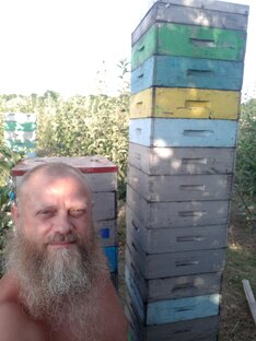 Пчеловодство