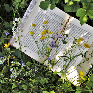 Истории успеха в TG