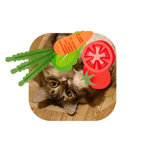 Разное о питании)