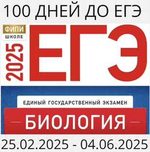 МАРАФОН "100 ДНЕЙ ДО ЕГЭ"