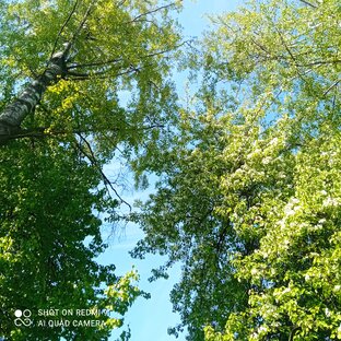 Культура, искусство