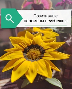 Путь к себе 