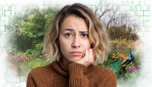 Эмоциональный интеллект