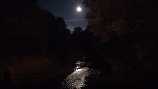 Дальний Восток.