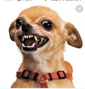 Опусы графомана