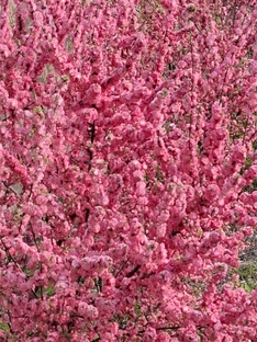 Удивительное рядом