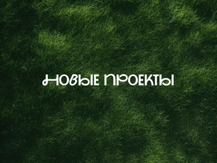Новые проекты 