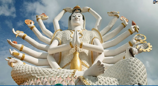 Управление командой и бизнесом