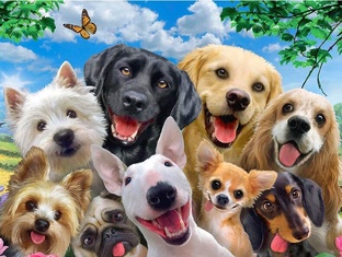 Наикрутейшие породы собак