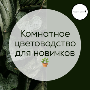 Комнатное цветоводство для новичков🪴