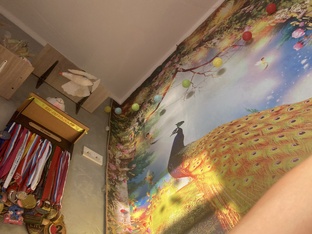 Хроники нашей Нарнии 🐈 🐈‍⬛ 🏃🏽‍♀️🏃‍♂️ 