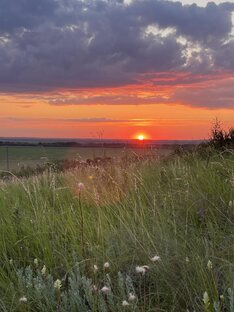Как мы стали дачниками