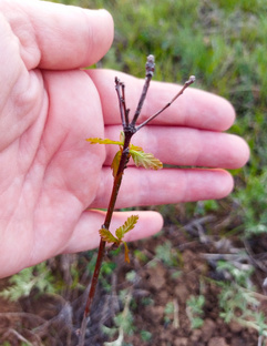 В гостях у природы
