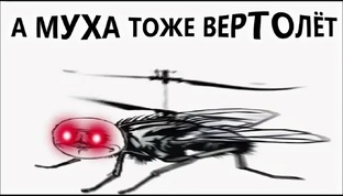 Про пельменей мух и борщ