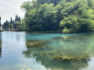 Отдых в Абхазии 