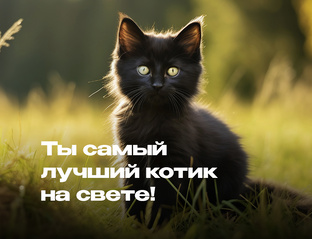 О, Фильмы!
