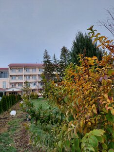 Санаторий "Лаба" Краснодарский край. Территория счастья"