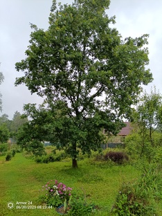 Мои практики.