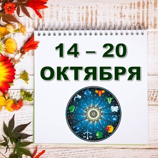 🏵 С 14 по 20 ОКТЯБРЯ 2024 г. 