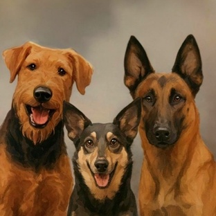 Люди и их собаки