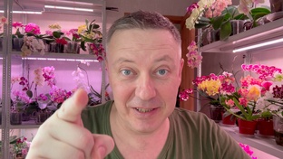 моё КЕТО и результаты