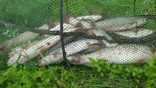 РЫБАЛКА 2023г.