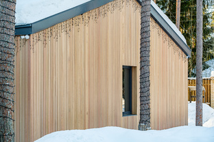 Обзор сортов планкена из лиственницы