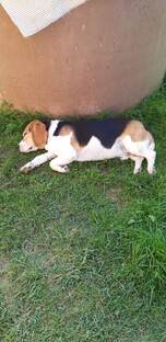 НЕБРОСКИЕ НАБРОСКИ