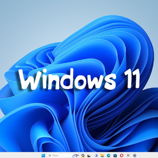 Windows 11