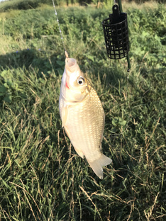 Как я отдыхаю.