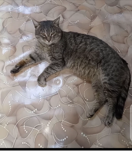 Наша повседневная жизнь 