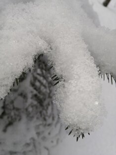 Любимые строки📝