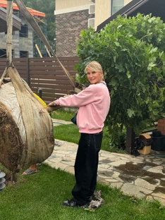 Посадка кленов Глобозум