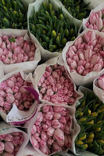 Природа🌿☀️😍