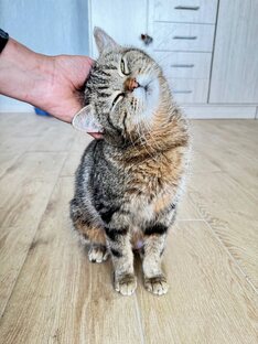 Нужна ваша помощь